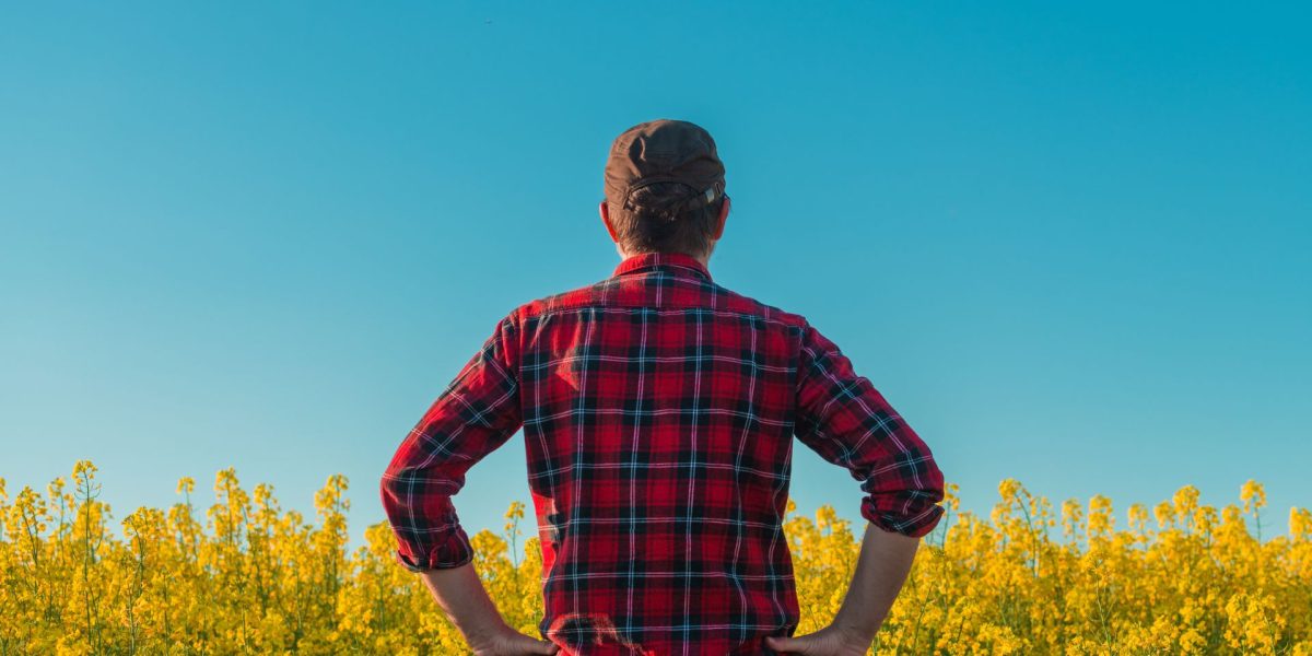 Manosphere: Politicienii britanici cer măsuri pentru protejarea bărbaților