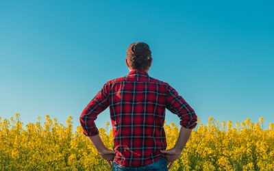 Manosphere: Politicienii britanici cer măsuri pentru protejarea bărbaților