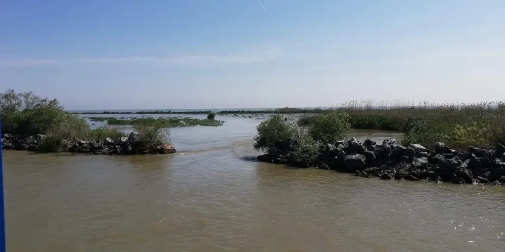 Începe prohibiția în Delta Dunării: peștele, protejat în perioada de reproducere