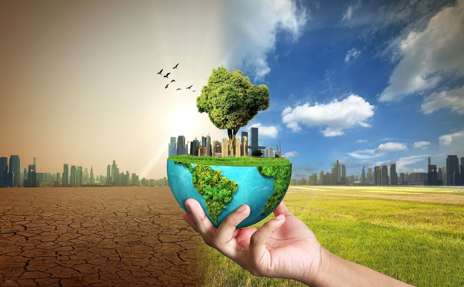 Un nou studiu arată că efectele schimbărilor climatice pot persista de-a lungul mai multor generații, accelerând potențial evoluția animalelor