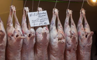 Inspectorii sanitari-veterinari au aplicat amenzi de peste 2,15 milioane de lei și au dispus măsuri de restricție în urma controalelor efectuate în perioada premergătoare Paștelui, potrivit datelor oficiale