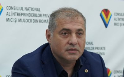 JIANU, IMM România: Afacerile, dezlipite de „circul” politic televizat