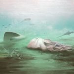 Fosila „celei mai bătrâne caracatițe”, o farsă: scanările au dezvăluit asta