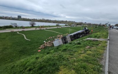 Accident TERIBIL: Camion cu oi răsturnat, 160 de animale moarte în România