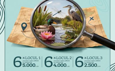 Veolia România extinde competiția educațională „Natura dintre Ape” la nivel național, marcând o etapă semnificativă în promovarea protecției mediului în rândul elevilor din întreaga țară