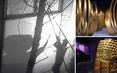 Jaful din Olanda: Hoții vizau un jaf și mai mare. Ce au ratat?