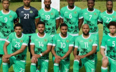 Echipa națională își caută selecționer pe rețelele sociale prin anunțuri la mica publicitate