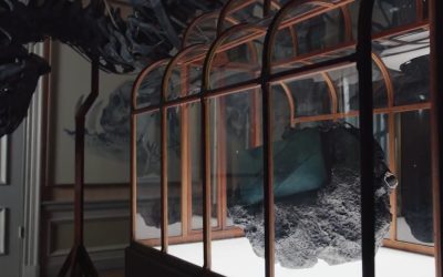 Oamenii de știință și designerii au creat o geantă de mână realizată din colagen derivat din fosile de Tyrannosaurus rex, o inovație ce reunește știința și moda într-un mod surprinzător