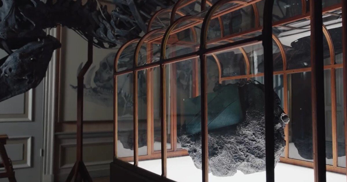 Oamenii de știință și designerii au creat o geantă de mână realizată din colagen derivat din fosile de Tyrannosaurus rex, o inovație ce reunește știința și moda într-un mod surprinzător