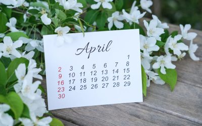 Pe data de 5 aprilie 2026, creștinii ortodocși sărbătoresc Duminica Floriilor, una dintre cele mai importante zile din calendarul religios