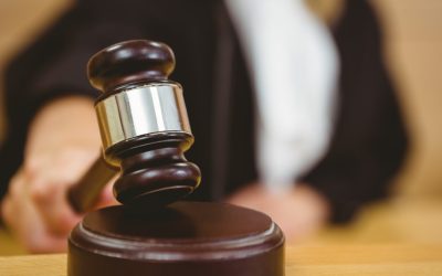 Nicuşor Dan: ONG-ul de mediu, cheltuieli uriașe în instanță în timp ce contestă acte