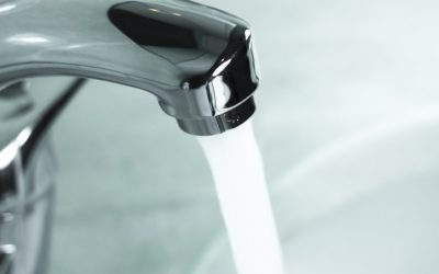 Bacteria Pseudomonas aeruginosa a fost identificată din nou într-o probă de apă prelevată de la Spitalul de Pediatrie Ploiești, determinând conducerea unității sanitare să ia măsuri imediate pentru limitarea riscurilor pentru pacienți și personalul medical