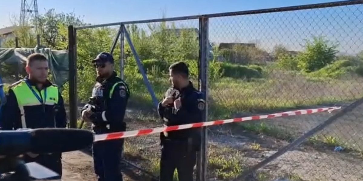 Oana Țoiu: Bugetul UE, bani pentru localitățile din România de lângă Ucraina