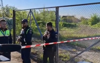 Oana Țoiu: Bugetul UE, bani pentru localitățile din România de lângă Ucraina