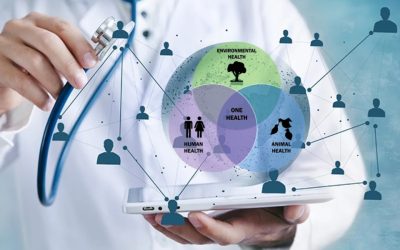 CieH și Ziarul Lumina fac echipă pentru educația medicală