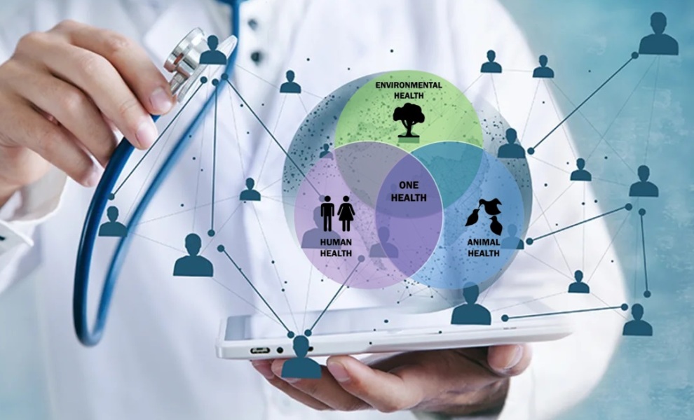 CieH și Ziarul Lumina fac echipă pentru educația medicală