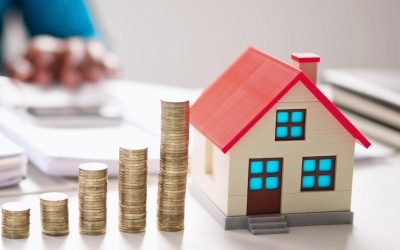 Discuțiile actuale privind intervențiile statului în mecanismele pieței, precum plafonările de prețuri, crează incertitudine în mediul de afaceri românesc și determină companiile să fie mai rezervate în privința investițiilor viitoare