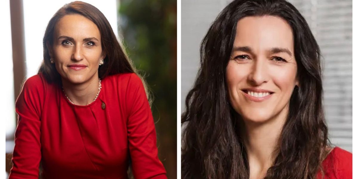 Oana Țoiu, dialog cu viitorul ministru de Externe de la Budapesta: Noua abordare