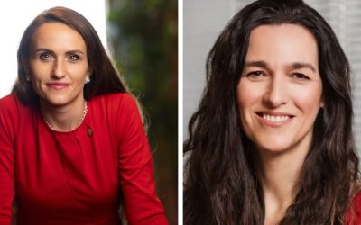 Oana Țoiu, dialog cu viitorul ministru de Externe de la Budapesta: Noua abordare