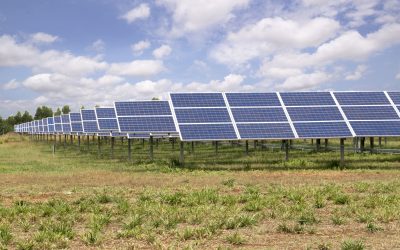 Compania austriacă Kraftfeld Energy atrage investitori strategici pentru proiecte de peste 1 GW în România Kraftfeld Energy, companie austriacă specializată în energie regenerabilă, a anunțat atragerea unui investitor strategic pentru unul dintre cele mai importante proiecte de pe piața locală