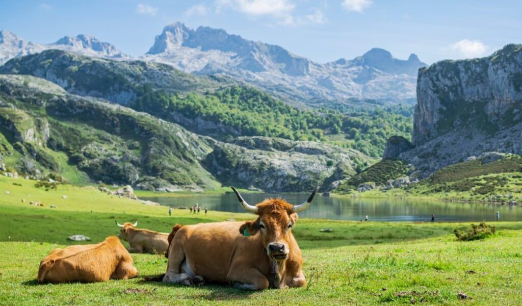 Locul din Europa, desprins din basme, declarat cel mai frumos din lume