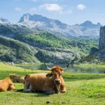 Locul din Europa, desprins din basme, declarat cel mai frumos din lume