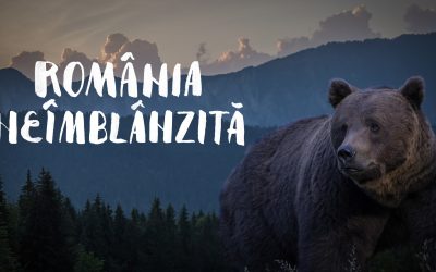 B1 TV va difuza duminică, 12 aprilie, de la ora 16:00, documentairele „România neîmblânzită,” o incursiune vizuală în diversitatea naturală a țării și un apel la responsabilitate față de mediul înconjurător O panoramică a biodiversității din România Documentarul „România neîmblânzită” prezintă pe parcursul a câtorva zeci de minute frumusețea și complexitatea peisajelor naturale din întreaga țară