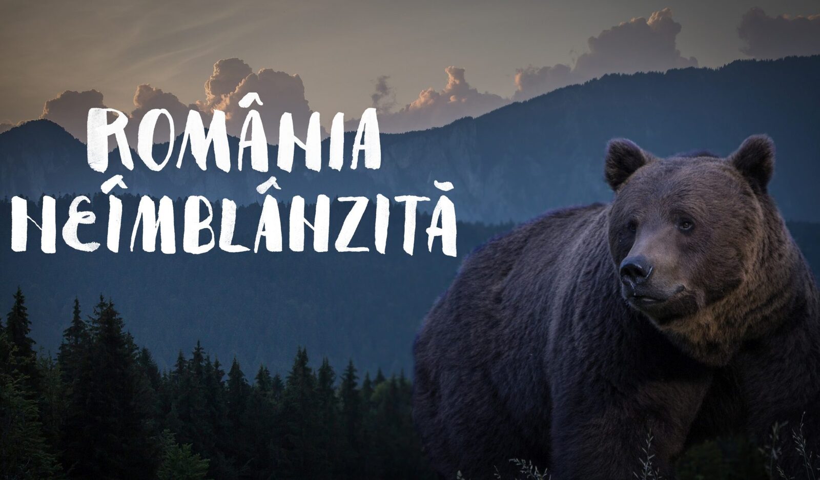 B1 TV va difuza duminică, 12 aprilie, de la ora 16:00, documentairele „România neîmblânzită,” o incursiune vizuală în diversitatea naturală a țării și un apel la responsabilitate față de mediul înconjurător O panoramică a biodiversității din România Documentarul „România neîmblânzită” prezintă pe parcursul a câtorva zeci de minute frumusețea și complexitatea peisajelor naturale din întreaga țară