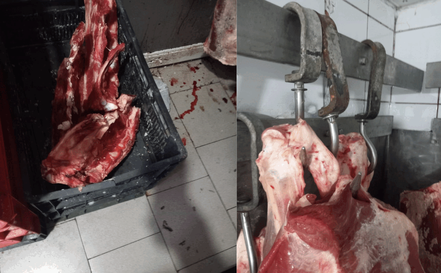 Controalele ANPC dezvăluie nereguli majore în industria alimentară și HoReCa Inspectorii Autorității Naționale pentru Protecția Consumatorilor (ANPC) au efectuat în luna aprilie 2026 ample controale la nivel național, concentrându-se pe comerțul alimentar și sectorul HoReCa