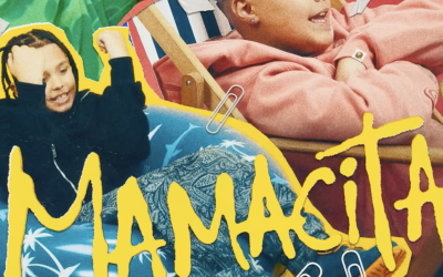 Frații Velea, ținta criticilor online: Limbaj dur pentru minori