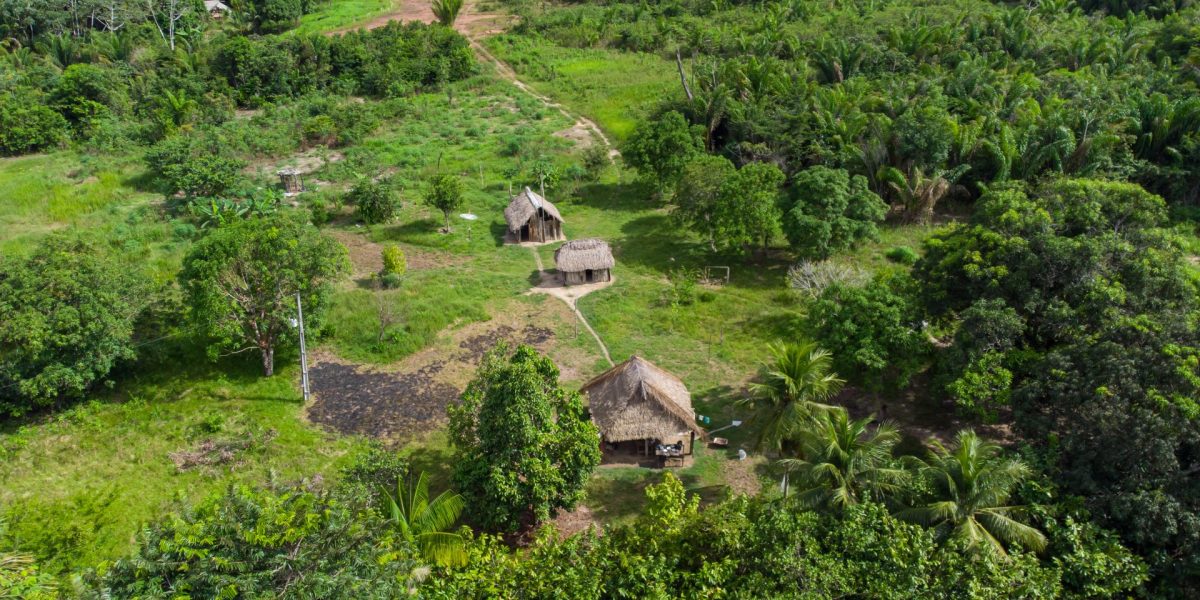 Drumuri antice, vechi de 2.700 ani, scoase la lumină în Amazon