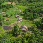 Drumuri antice, vechi de 2.700 ani, scoase la lumină în Amazon