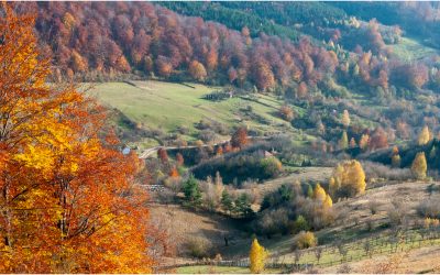Geoparcuri UNESCO: Guvernul simplifică accesul. Schimbări majore în România