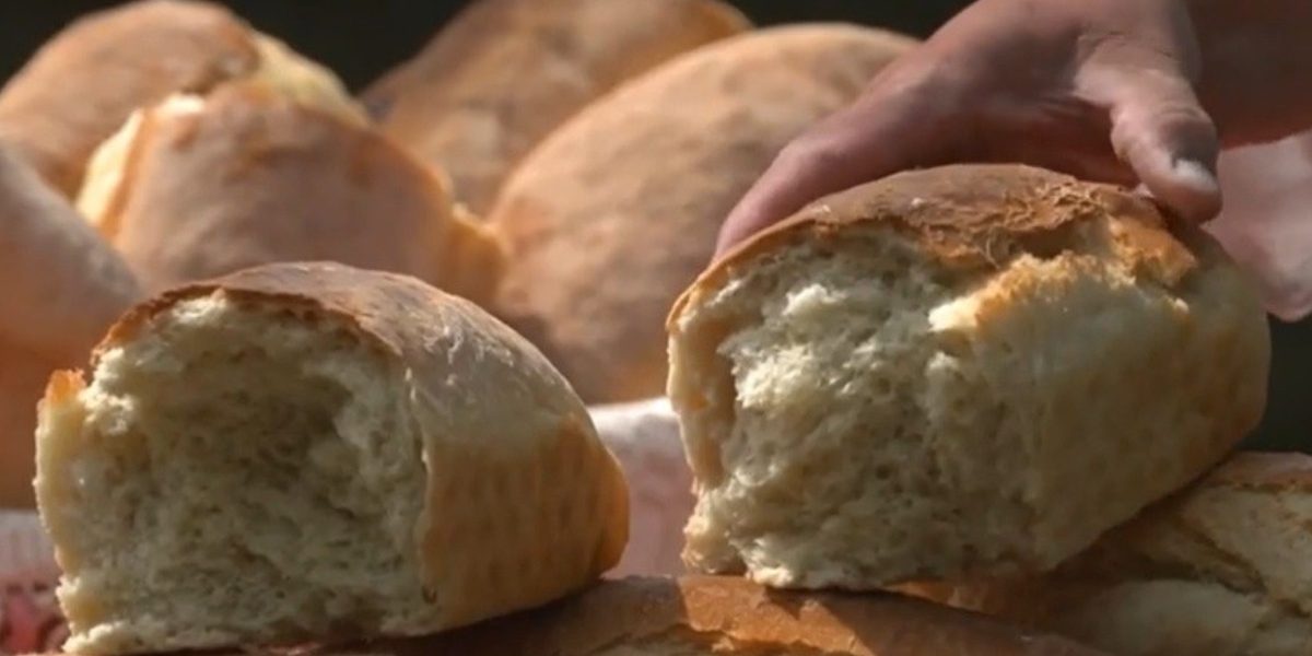 Banatul, Regiune Gastronomică Europeană în 2028: Ce surprize ne așteaptă?