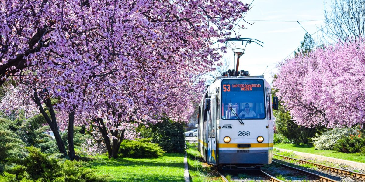 Câte linii de noapte va avea STB de Înviere în București