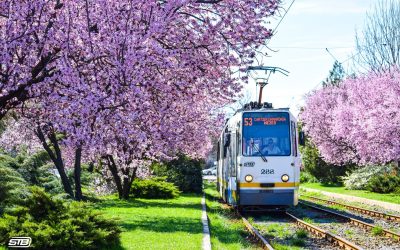 Câte linii de noapte va avea STB de Înviere în București
