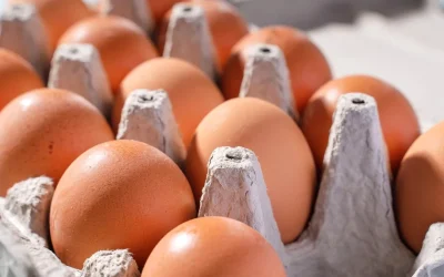 Prețurile ouălor în România diferă considerabil în această perioadă, în funcție de locul de cumpărare și de tipul produsului, iar aceste diferențe devin mai evidente pe măsură ce se apropie Paștele