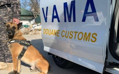 Autoritatea Vamală Română (AVR) a început luni, 6 aprilie 2026, o amplă operațiune de control pe principalele rute de transport din țară, cu accent pe importurile de produse alimentare perisabile