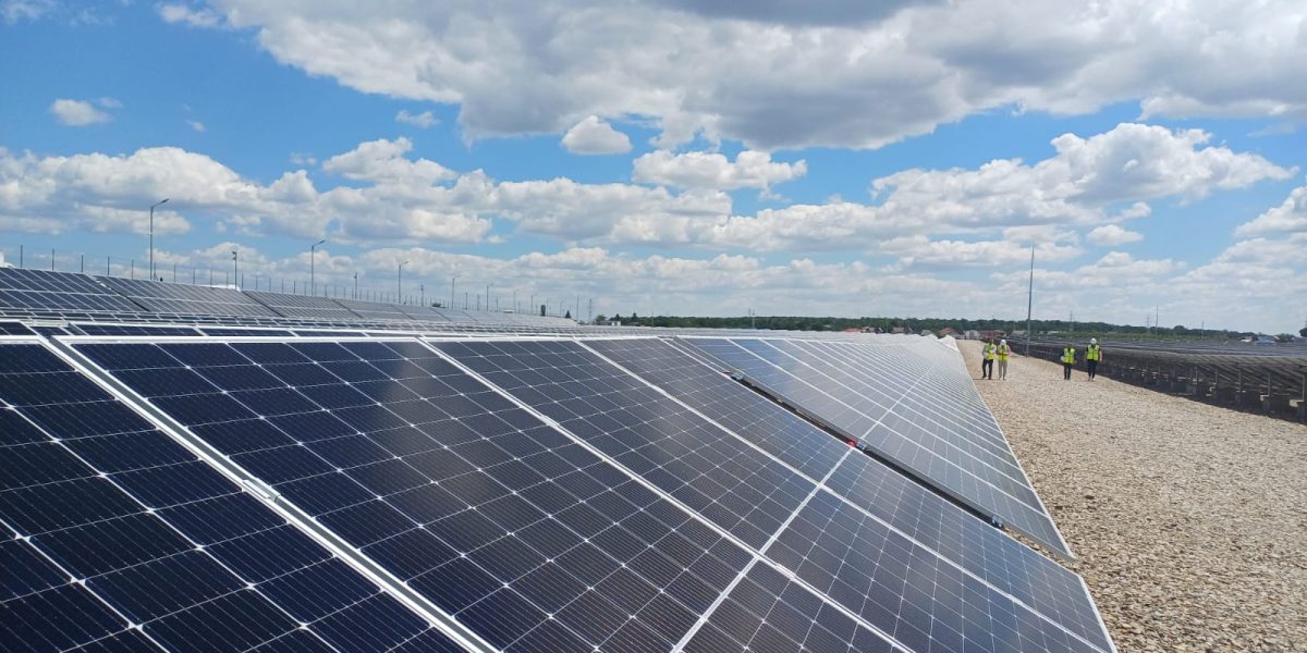 Băieții deștepți din energie scot la vânzare parcuri solare pe OLX! Ce face statul?