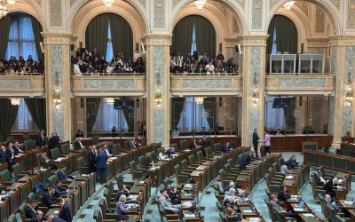 Haos la Senat: Scandal uriaș după votul pe alcoolul pe stadioane!