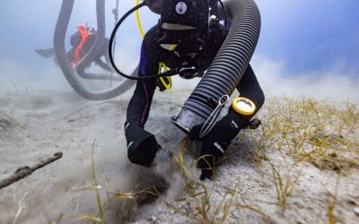 Un fragment din decorațiunea sculpturală de la Partenon, pământul sacru al anticii Atena, a fost recuperat din epava navei Mentor, aparținând lui Lord Elgin, în primul astfel de caz în peste două secole