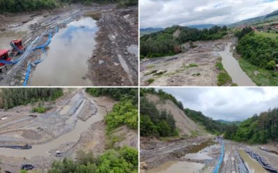 Angajații SALROM dau vina pe castori la Praid. Ministrul: Lipsă de asumare