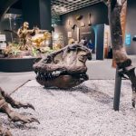 Ou de dinozaur minuscul, record GUINNESS: O MINUNE!