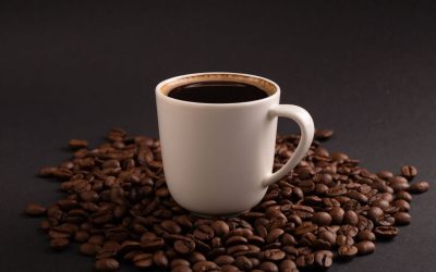 Furnicile drogate cu cofeină: experimentul care a uimit lumea