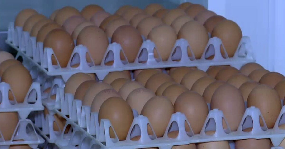 Ouă cu Salmonella retrase în prag de Sărbători: Alertă alimentară în România