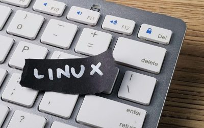 Franța renunță la Windows: Vrea Linux pentru suveranitate digitală!