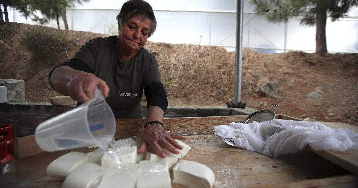 Halloumi în pericol: Fermierii ciprioți, loviți de epidemie. Nordul turc, cheia salvării