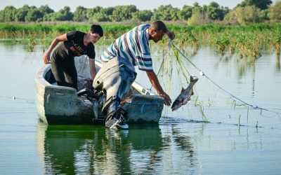 Pescarii tulceni au majorat prețurile pentru capturile din cauza creșterii costurilor cu carburanții Pescarii din Tulcea au decis să crească prețurile pentru capturile directe livrate către punctele de debarcare și centrele de primă vânzare