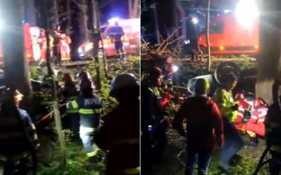 Accident TERIBIL de Paște, în pădurea Snagov: doi tineri au murit