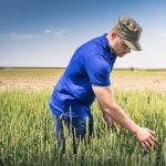 Criză îngrășămintelor: Fermierii cer ajutor URGENT la Bruxelles